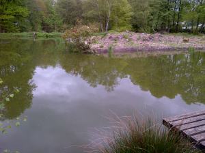 Bradshaws lake 7